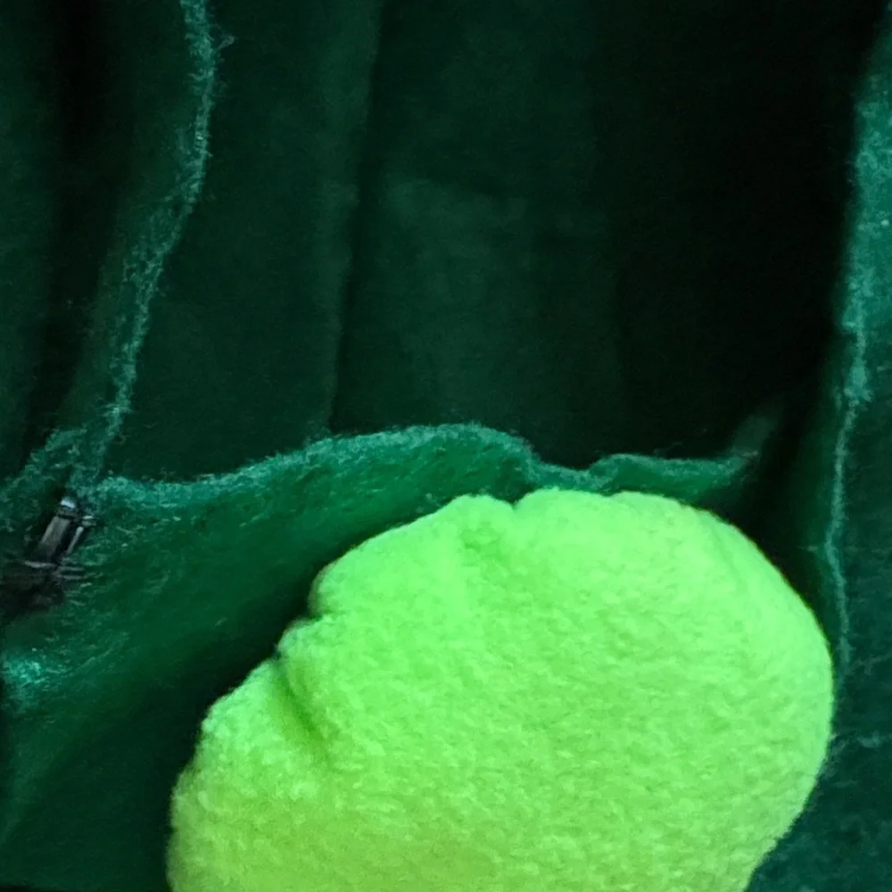 Green Pea Pod Baby Costume - Picture 4 of 6